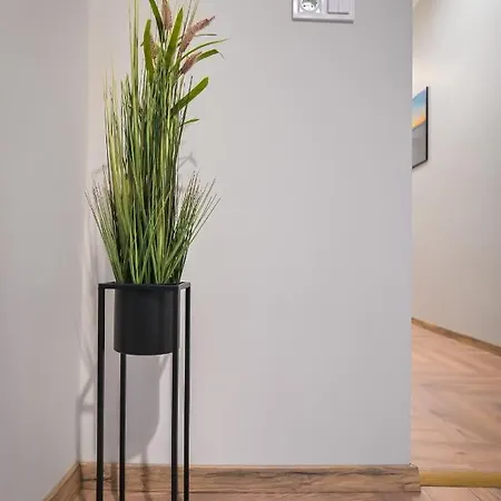 Brand New & Cosy Apartment With A Working Space *
